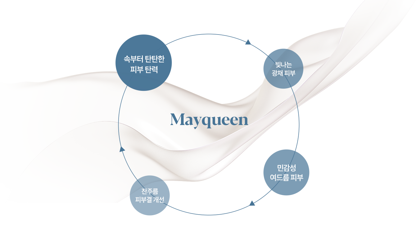 스컬트라이미지